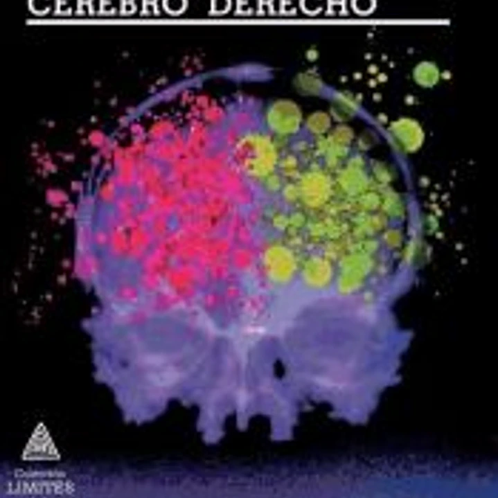Cerebro izquierdo, cerebro derecho 1