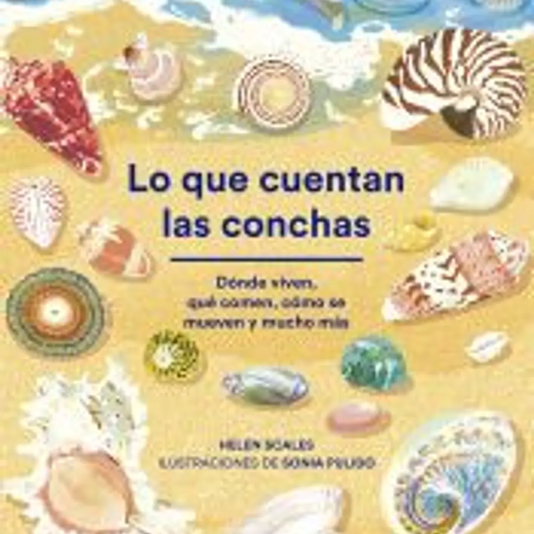 Lo que cuentan las conchas 1