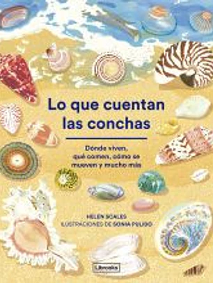 Lo que cuentan las conchas