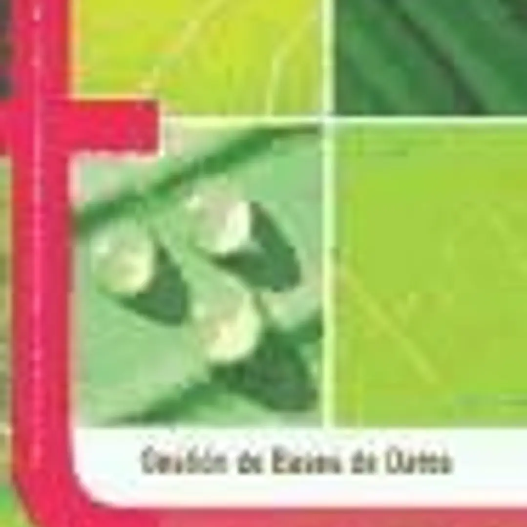 Gestión de bases de datos 1