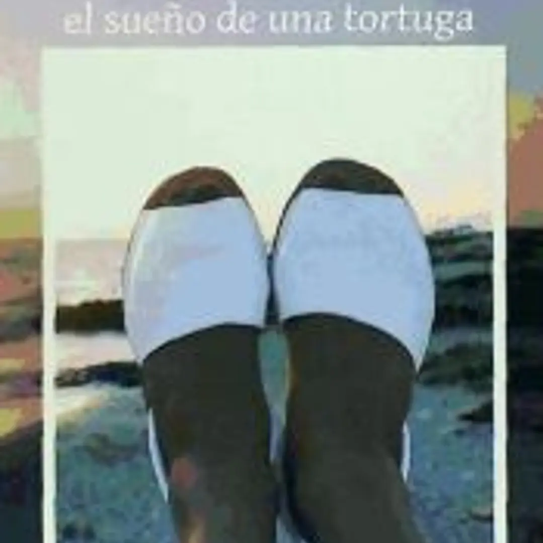 Gimena el sueño de una tortuga 1