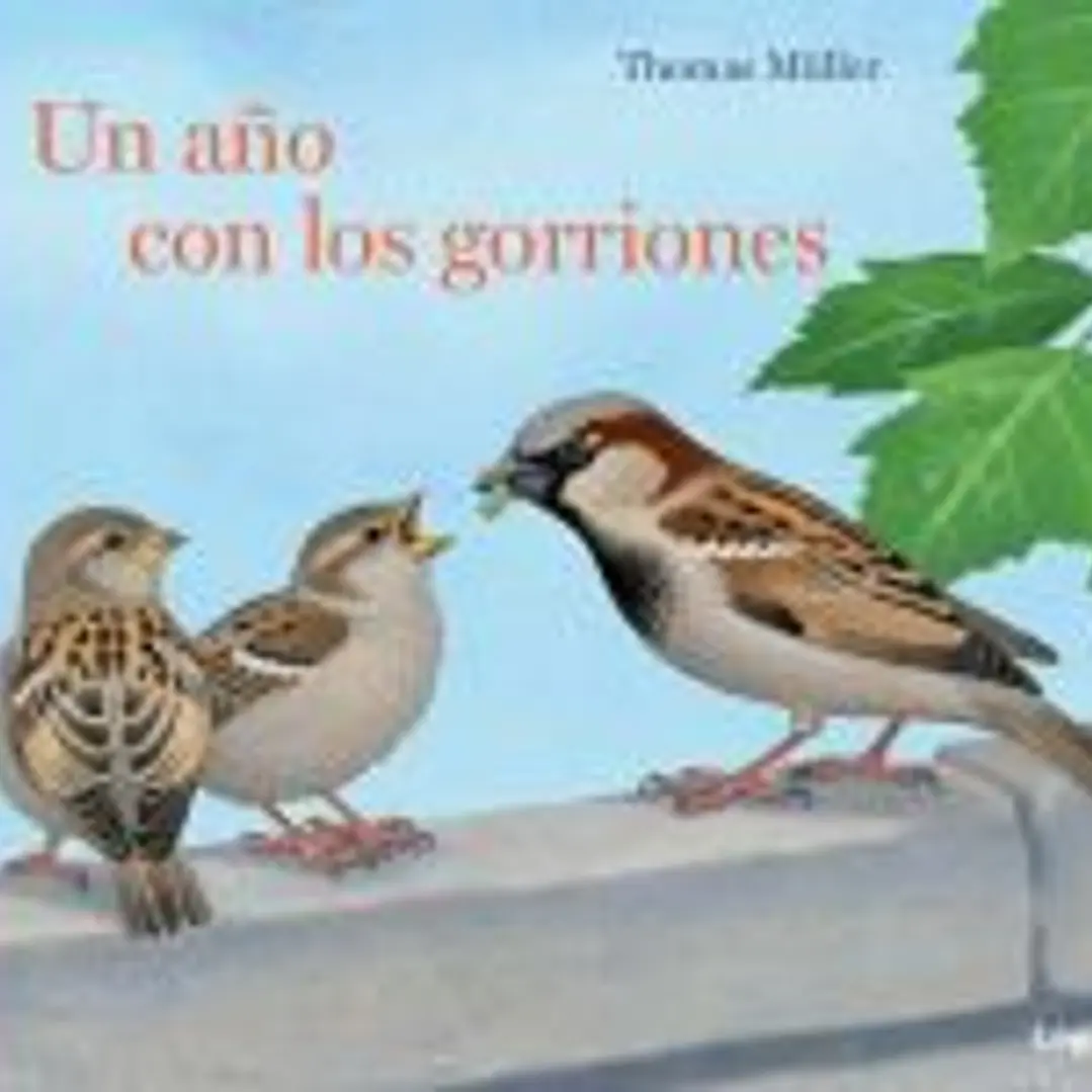 Un año con los gorriones 1