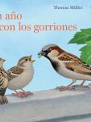 Un año con los gorriones