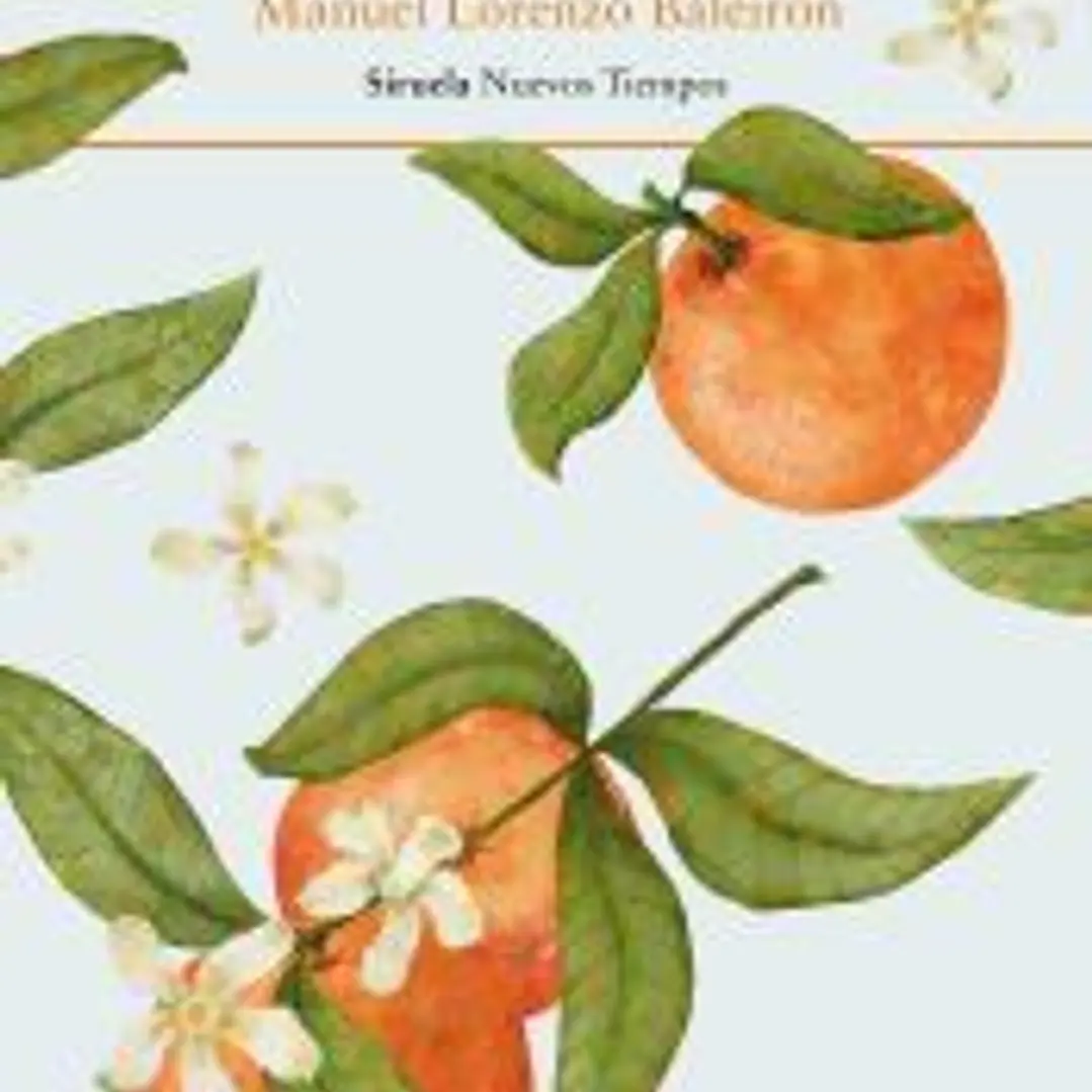 Cortezas de naranja 1