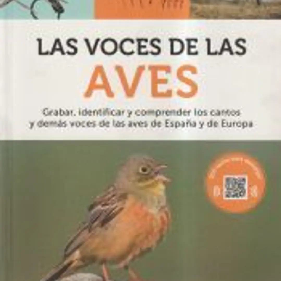 LAS VOCES DE LAS AVES 1