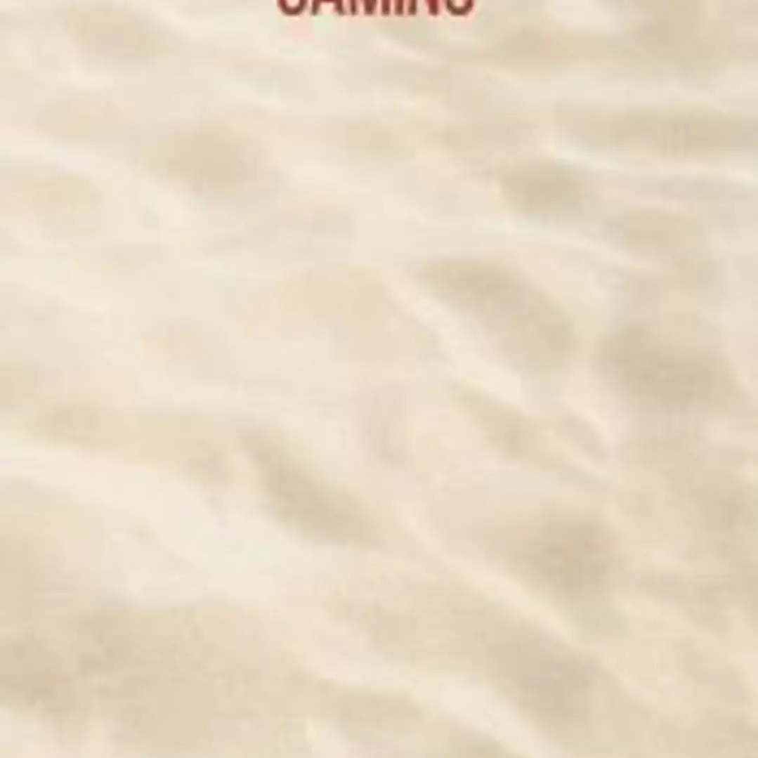 Camino. (Agenda, rústica) 1