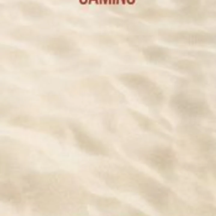 Camino. (Agenda, rústica) 1