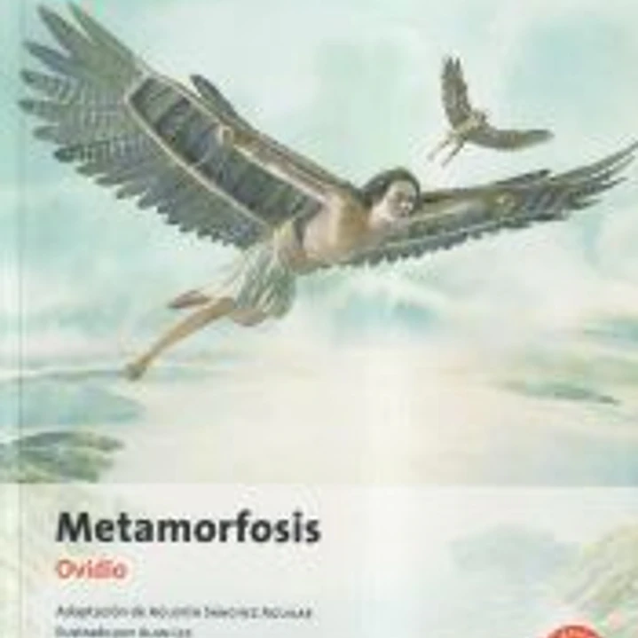 Metamorfosis (clasicos Adaptados) 1