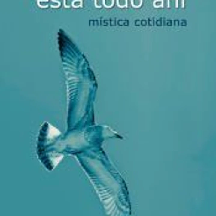 Esta todo ahi.Mistica cotidiana 1