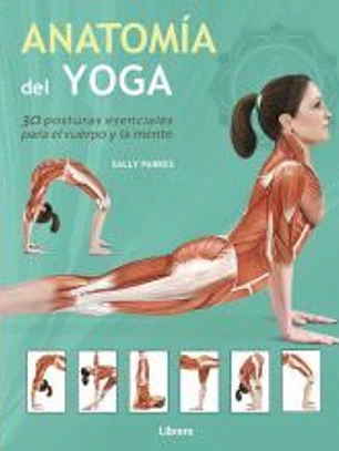 Anatomía del yoga