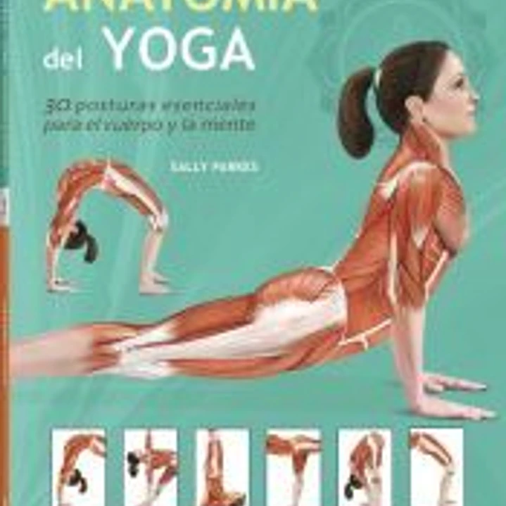 Anatomía del yoga 1