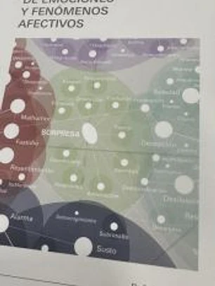 DICCIONARIO DE EMOCIONES Y FENÓMENOS AFECTIVOS