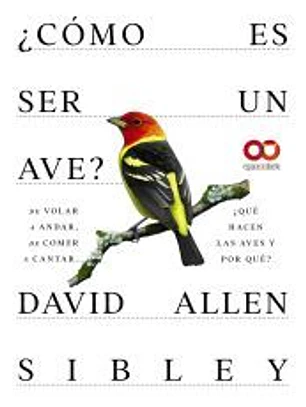 ¿Cómo es ser un ave? De volar a anidar, de comer a cantar... ¿Qué hacen las aves y por qué?