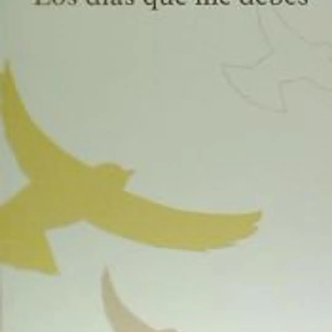 Los días que me debes 1