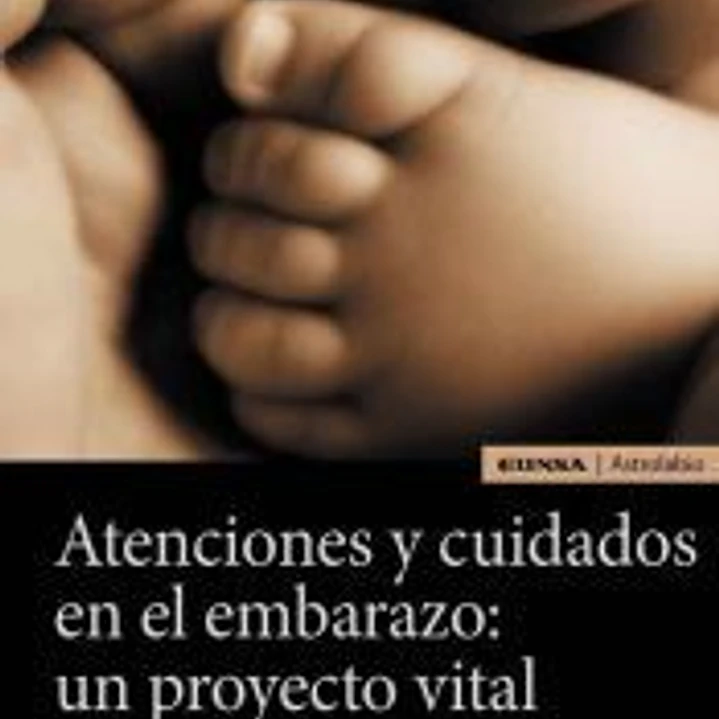 Atenciones y cuidados en el embarazo: un proyecto vital 1