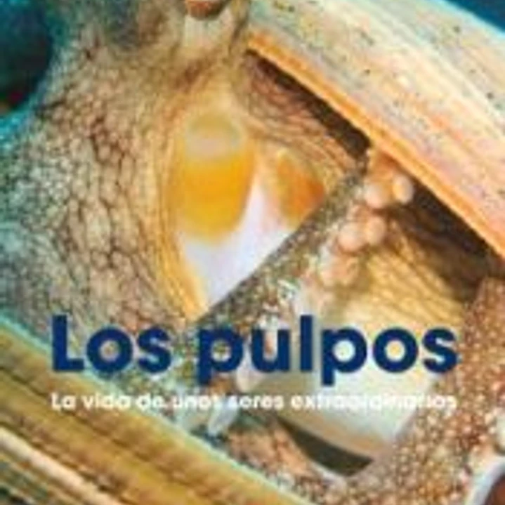 Los pulpos 1