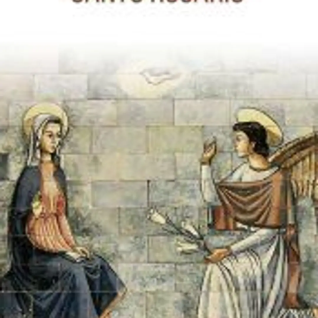 Santo Rosario (bolsillo, rústica, color) 1