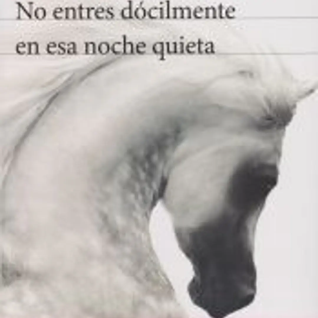 No entres dócilmente en esa noche quieta 1