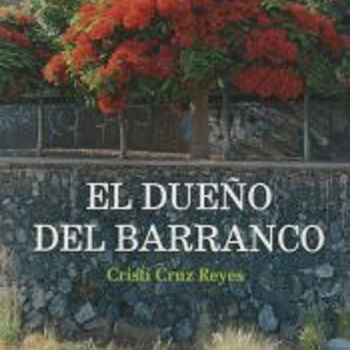 DUEÑO DEL BARRANCO, EL 1