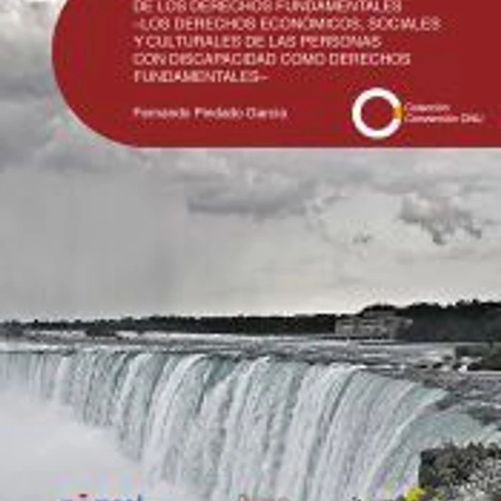 HACIA UNA ÚNICA CATALOGACIÓN DE LOS DERECHOS FUNDAMENTALES- LOS DERECHOS ECONÓMICOS, SOCIALES Y CULTURALES DE LAS PERSONAS CON DISCAPACIDAD COMO DERECHOS FUNDAMENTALES- 1