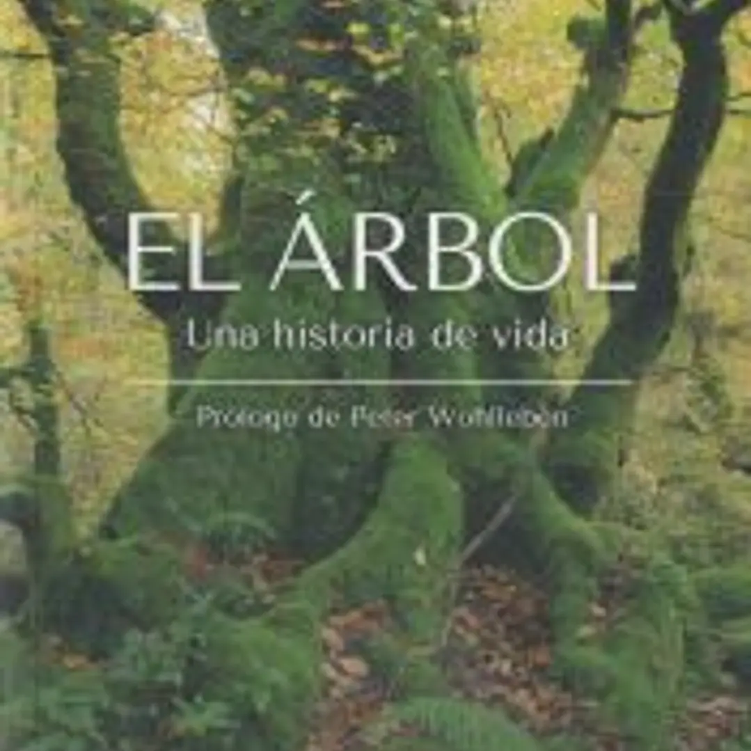 El Árbol 1
