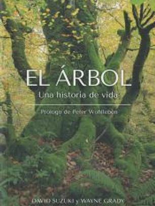 El Árbol