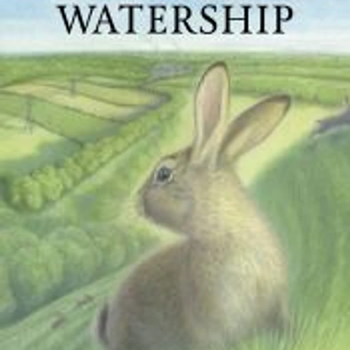 La colina de Watership 1