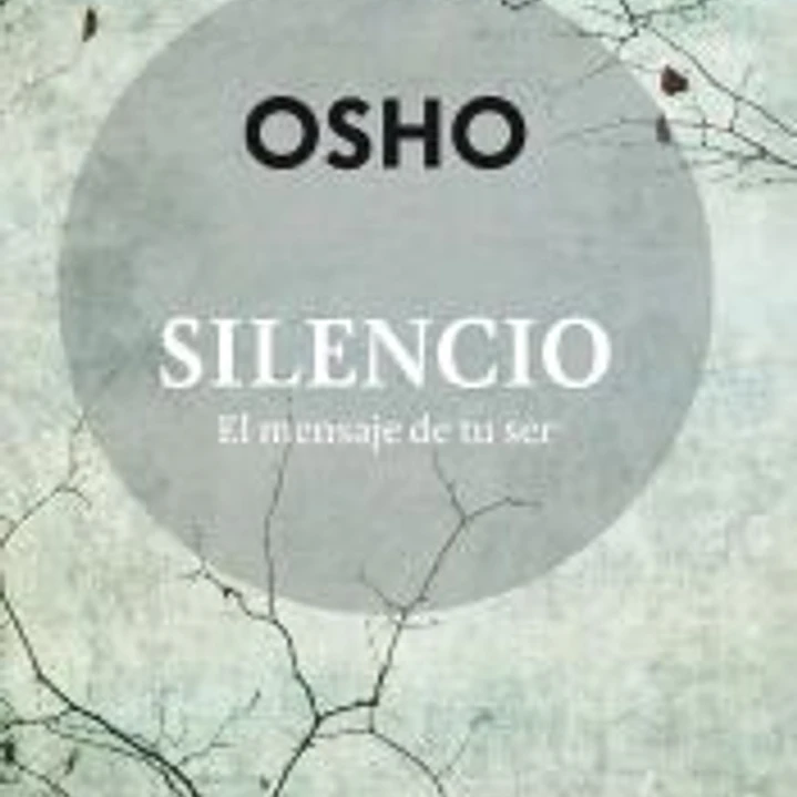 Silencio: El mensaje de tu ser 1