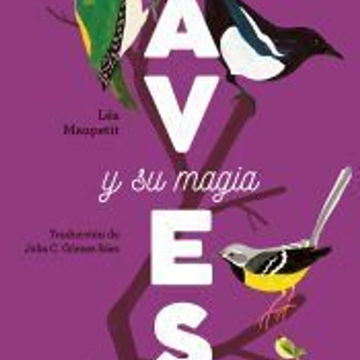 Aves 1