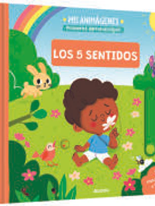 Mis animágenes. Los 5 sentidos