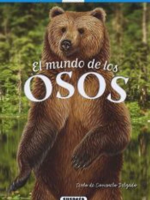 El mundo de los osos