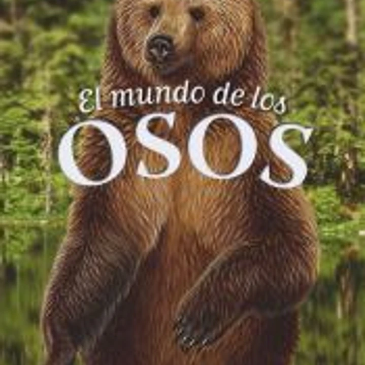 El mundo de los osos 1