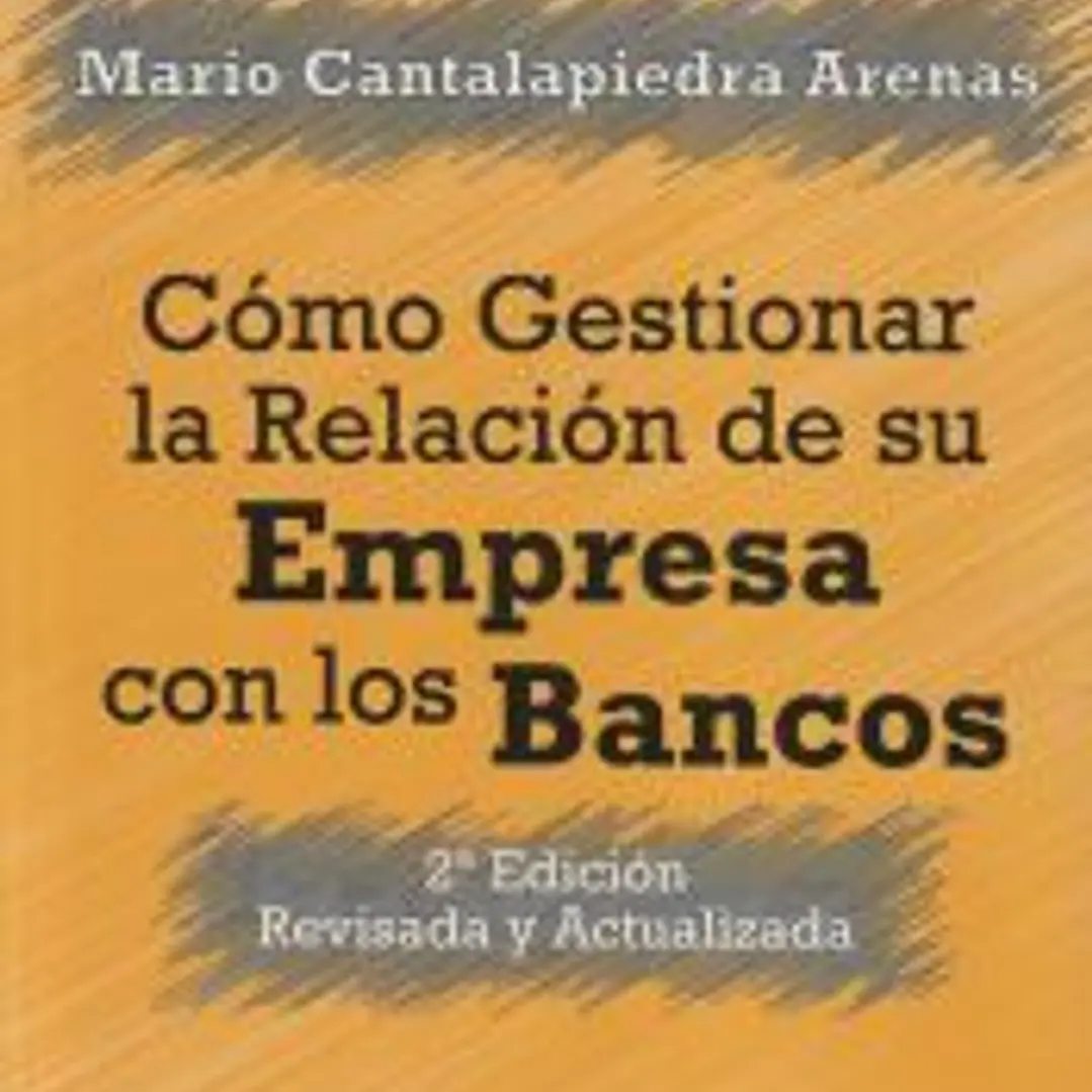 CÓMO GESTIONAR LA RELACIÓN DE SU EMPRESA CON LOS BANCOS: 2ª EDICIÓN REVISADA Y ACTUALIZADA 1
