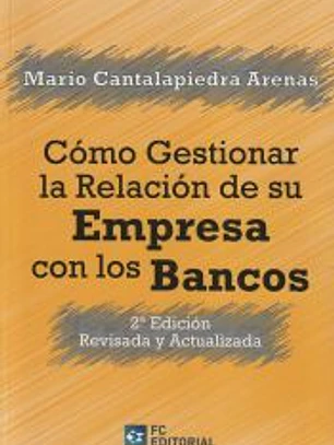 CÓMO GESTIONAR LA RELACIÓN DE SU EMPRESA CON LOS BANCOS: 2ª EDICIÓN REVISADA Y ACTUALIZADA