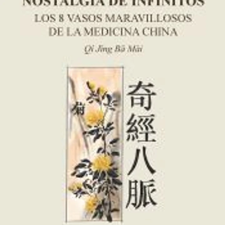 Nostalgia de Infinitos: Los 8 Vasos maravillosos de la Medicina China 1