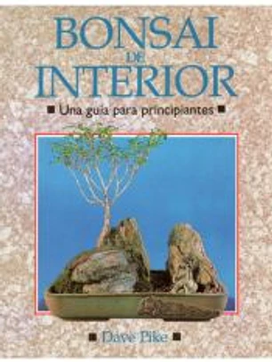 BONSÁI DE INTERIOR