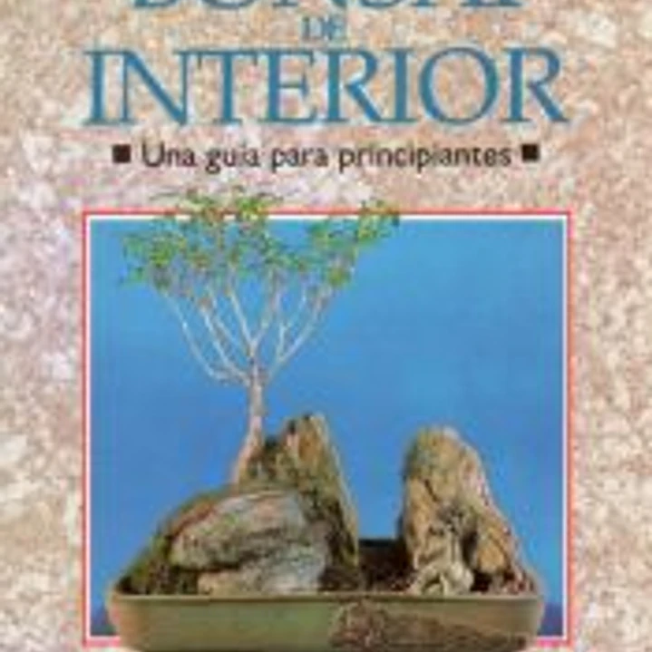 BONSÁI DE INTERIOR 1