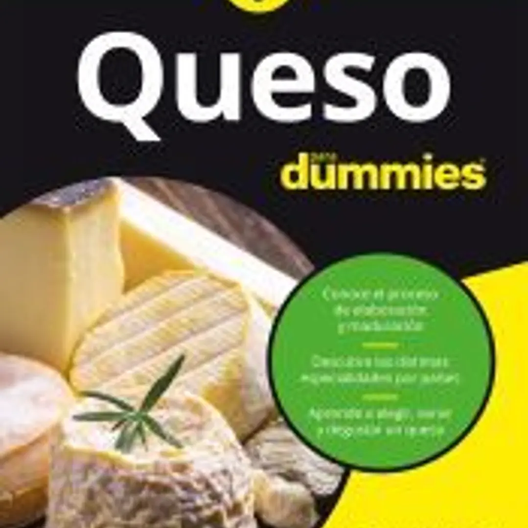 Queso para dummies 1