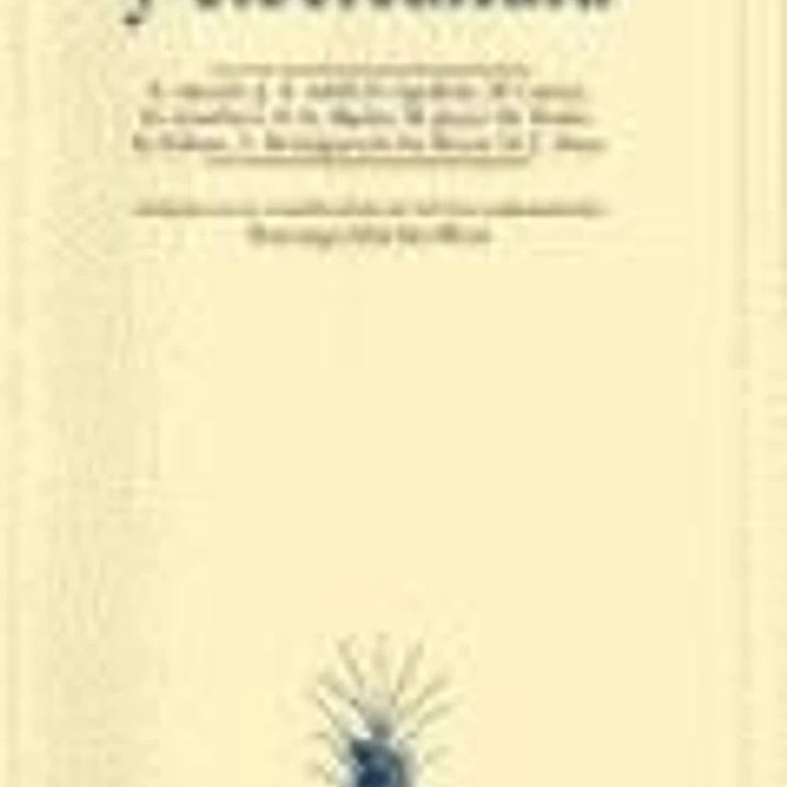 Literatura y cibercultura 1