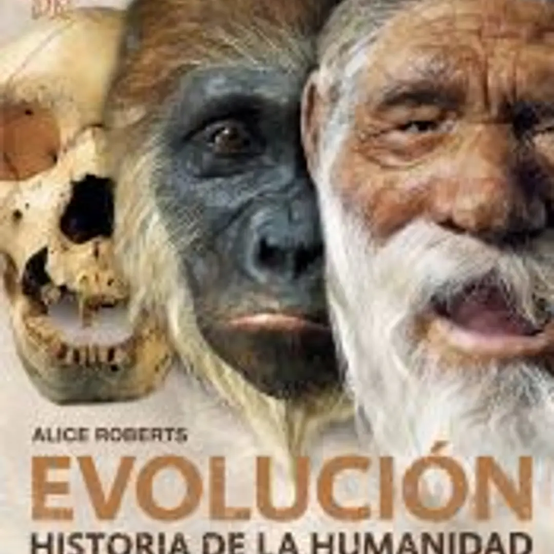 Evolución 2ª Edición 1