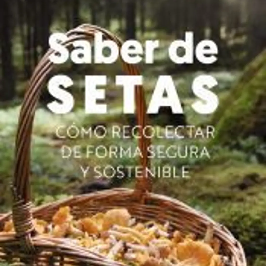 Saber de setas 1