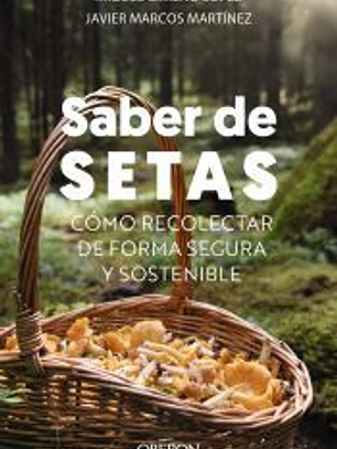 Saber de setas