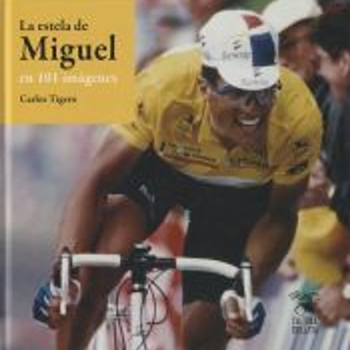 La Estela de Miguel en 101 imágenes 1