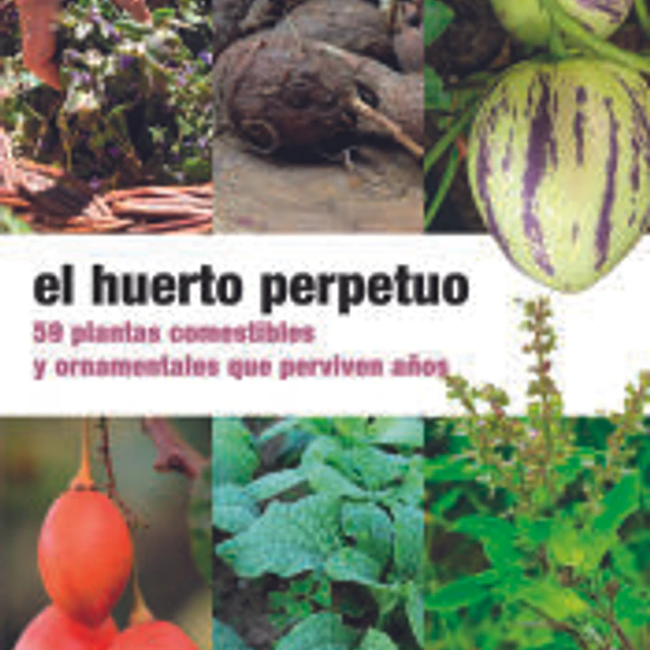 El huerto perpetuo: 59 plantas comestibles y ornamentales que perviven años 1
