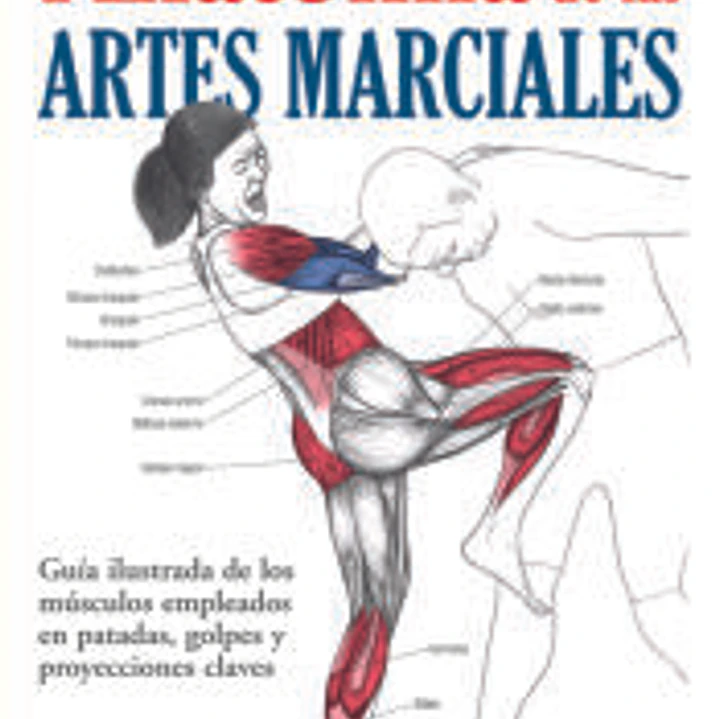 Anatomía de las artes marciales 1