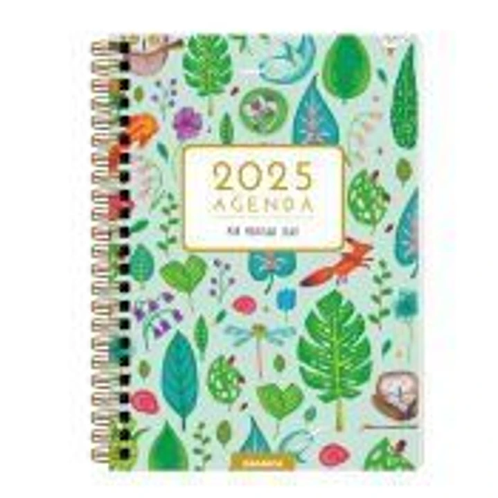Pequeños Grandes Artistas 2025, Agenda Anillada 1