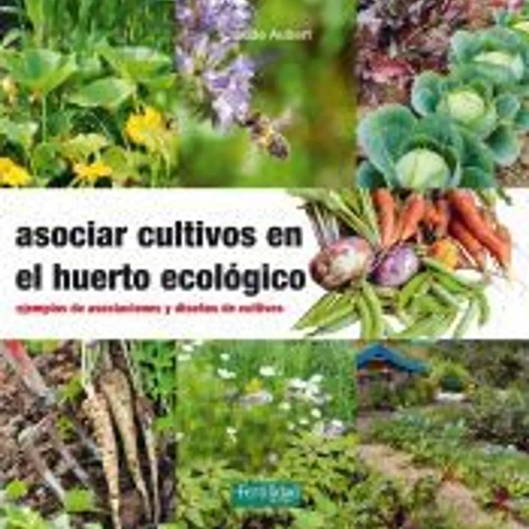 Asociar cultivos en el huerto ecológico: Ejemplos de asociaciones y diseños de cultivos 1