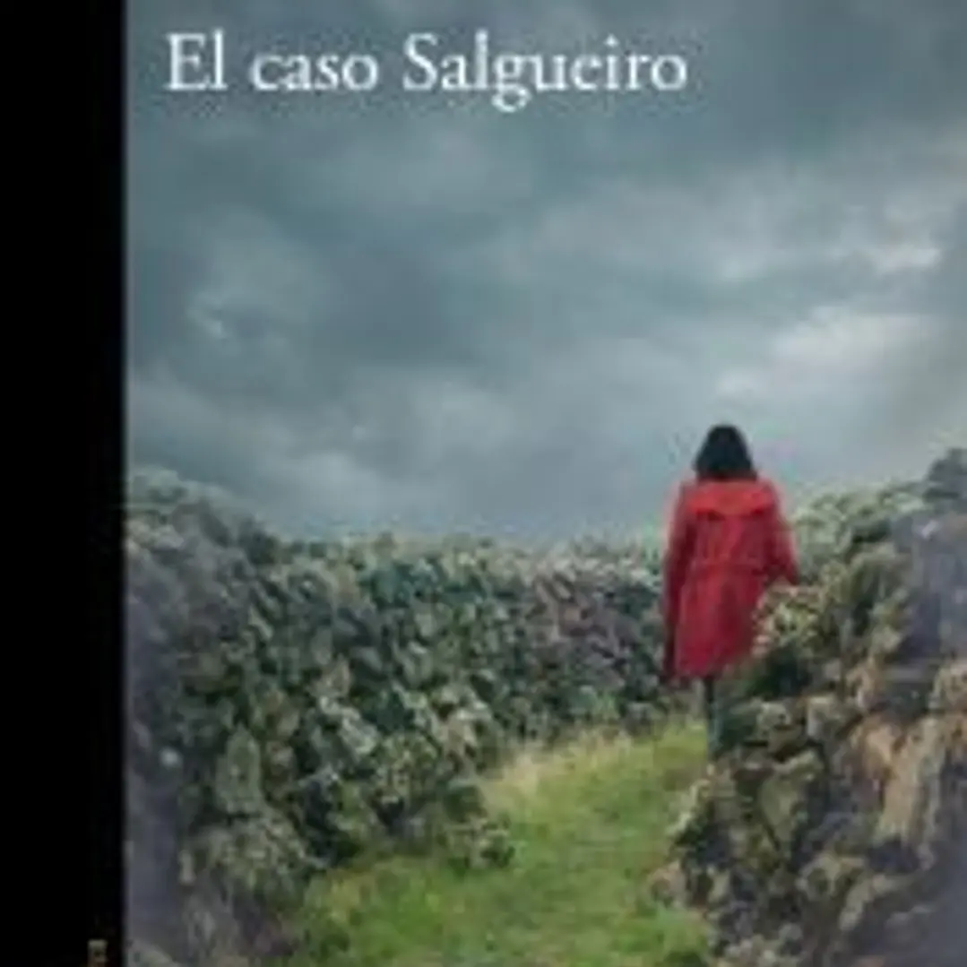 El caso Salgueiro 1