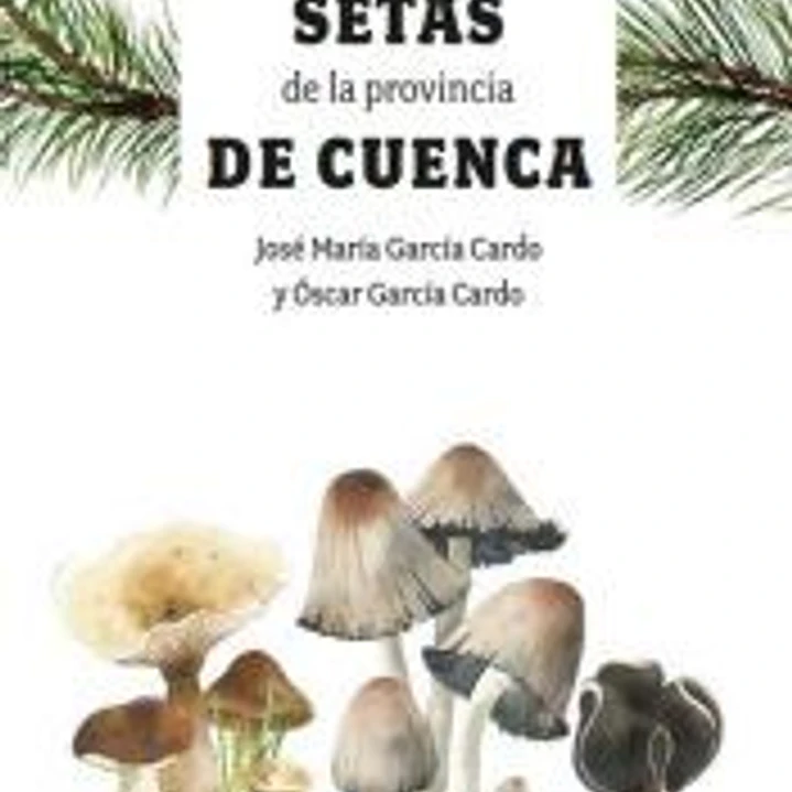 Guía de las Setas de la provincia de Cuenca 1