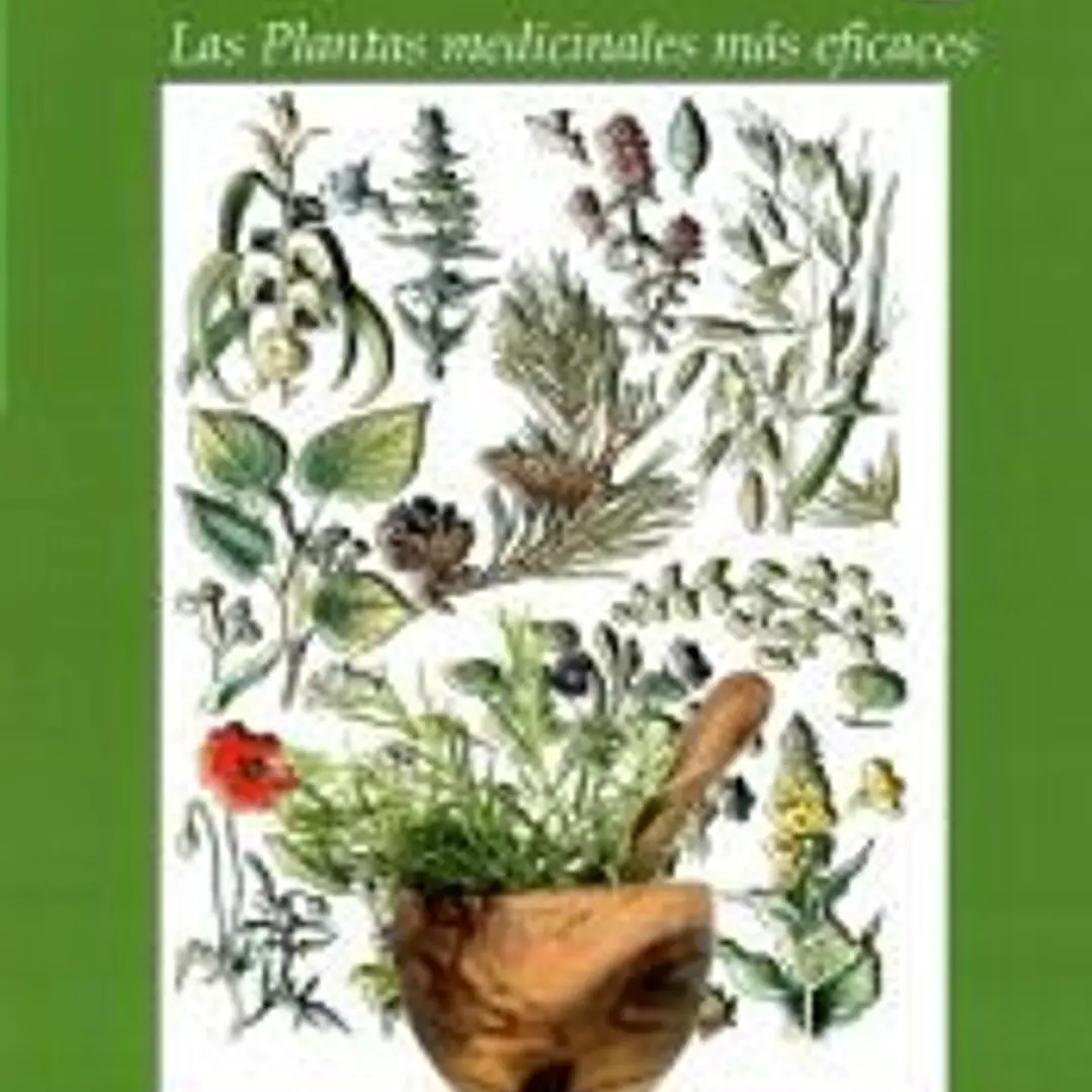 El botiquín de farmacopea casera: Las plantas medicinales más eficaces 1